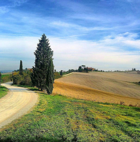 Screen Shot 2017-02-07 at 6.48.50 PM.png