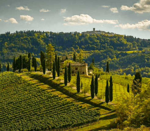 screen-shot-2017-02-07-at-7-07-20-pm