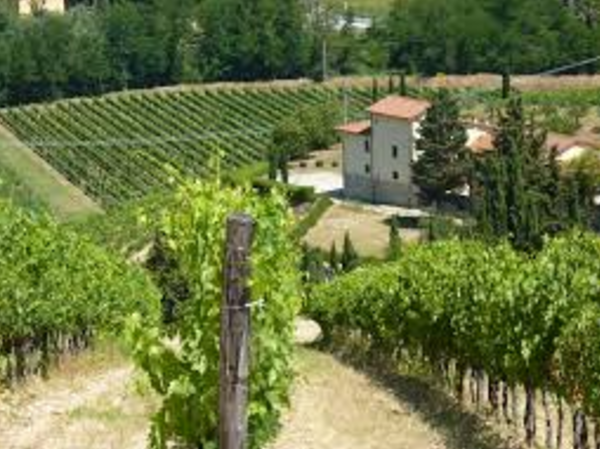 screen-shot-2017-02-07-at-7-14-32-pm