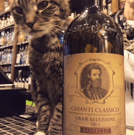 Screen Shot 2017-02-07 at 7.18.54 PM.png